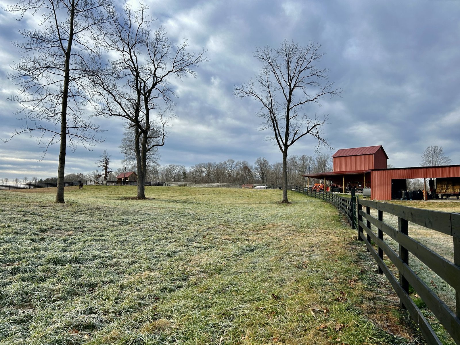 Red horse run-in shelter and fenced paddock at Glendale