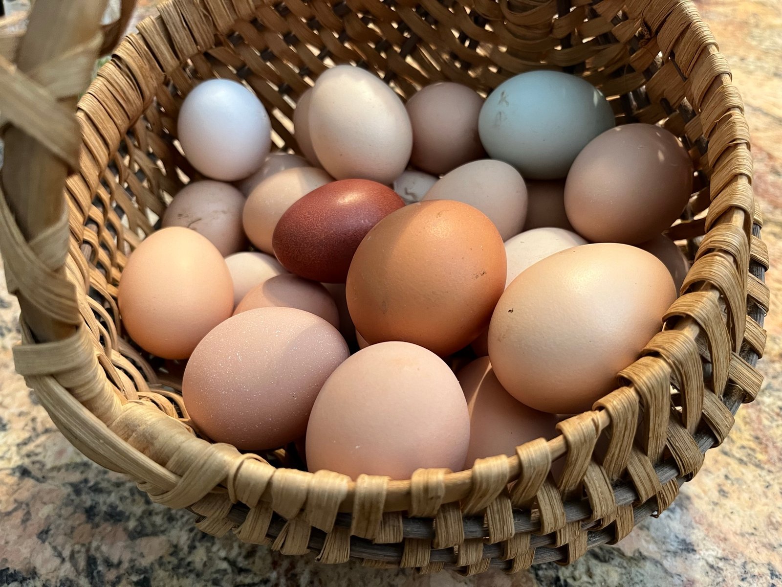 Basket of fresh farm eggs